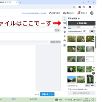 はてなブログの画像ファイル