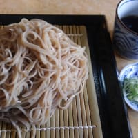 葉桜観に信州上田城へ