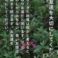 コン爺　グーブログ500日❣️