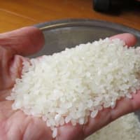 初めての備蓄米を