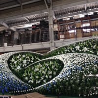 花祭壇 ブルーのグラデーションで製作 胡蝶蘭の安田生花店