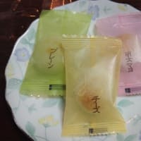 「鈴廣かまぼこ」