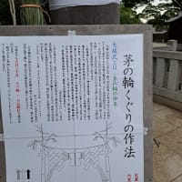 茅の輪くぐりの季節になりますね