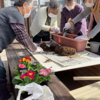 花咲く寄り合い処