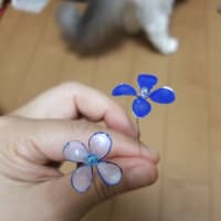 まあまあ…