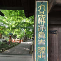 東京都世田谷区奥沢にある「九品仏浄真寺」！第二弾！第一弾も良かったね！