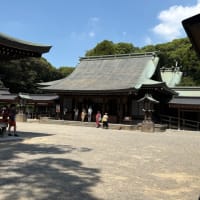 久しぶりのお出かけ