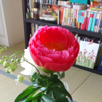 お花。