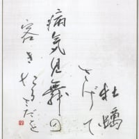俳句　カキ