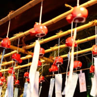 「半年の感謝を込めて ― 夏越の大祓と夏詣」