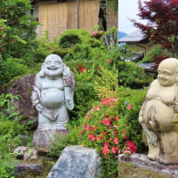 　丹波七福神巡り3完（養仙寺　神応寺）　黒猫顔のアップ