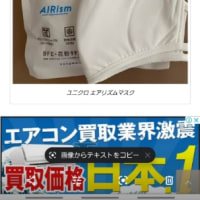 洗えるマスクレビュー