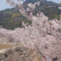 妄想デート