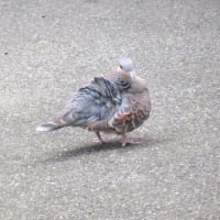 朝焼け