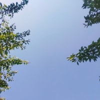 ブログお引越し予定です。