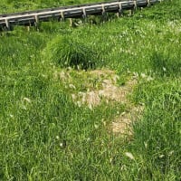 長者原にて