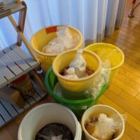 昨日は本当にヘトヘトに