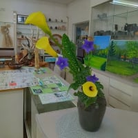 うさっぷギャラリーにお花を飾ってくれました（北海道沙流郡日高町　山日高）