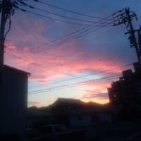 おすすめの映画🎥