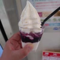 【北海道物産展】色々購入。