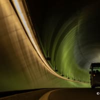ミホミュージアム　新緑のトンネル