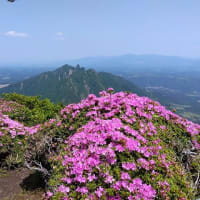 阿蘇中岳・高岳東峰　 6月1日(日)