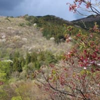 奥武蔵の展望台、丸山へ（2020年4月23日）