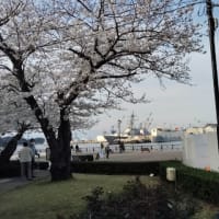 三浦100kmウルトラウォーキング