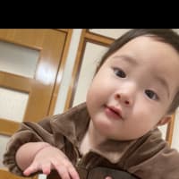最近頂いた【🌰】のお土産たち
