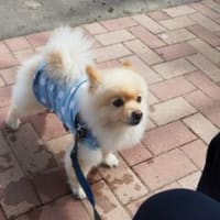 ホッと一息