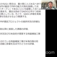 第９回ジュゴンオンラインセミナー報告　日米共同声明から“辺野古が唯一”の文言が消えた！辺野古新基地建設は破綻、ジュゴンの棲む海を取り戻そう