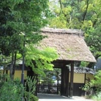 名古屋季節だより41　「静かな里山の興正寺」