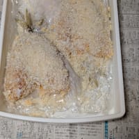デカ鯵のアジフライ