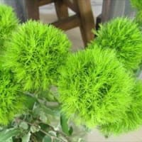 神のことばをないがしろにしない