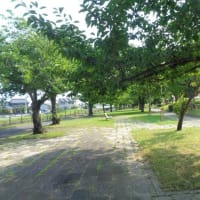 信頼されているな