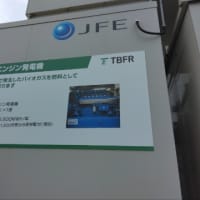伊達のしずく　　沖縄から