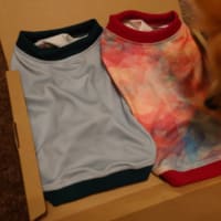 禁断その２