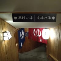 鹿教湯温泉混合泉 大江戸温泉物語 鹿教湯藤館 ★★