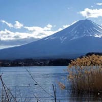 富士山の秋　2018