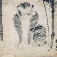 ネガティヴ(^^)ブログ開設