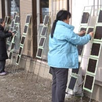 江戸前海苔づくり体験記①-木更津市