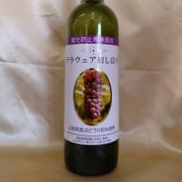 蒼龍葡萄酒　デラウェアの新酒ワイン　入荷です