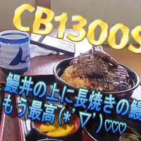 CB1300SF SP　　　鰻丼の上に長焼きの鰻を乗せるともう最高(*'▽')♡♡♡