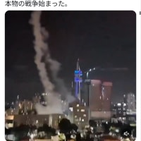 白い花