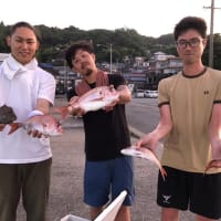 ２号船午後便でウタセマダイです。