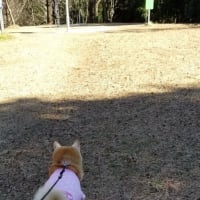 クリンへの想いは尽きなくて・・・305