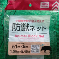ブドウ棚の鳥除けに100均でネットを買いました