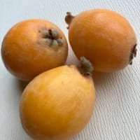 忘れちやったー！