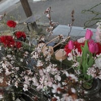 藤田神社の花手水～2024年4月7日