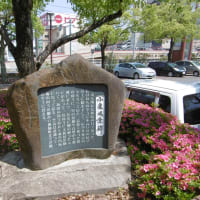 ～～★≪　小栗風葉の歌碑とサツキ・・≫★～～